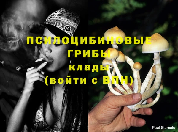 метамфетамин Алзамай