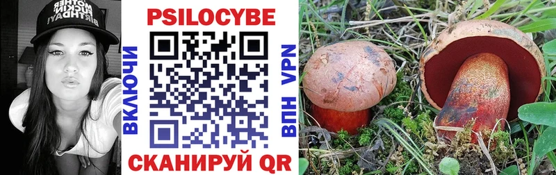 Псилоцибиновые грибы Psilocybine cubensis  закладки  Железногорск-Илимский 